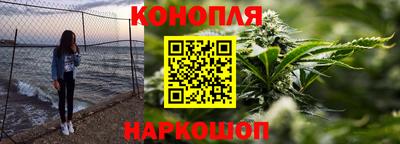 гашик Гусев