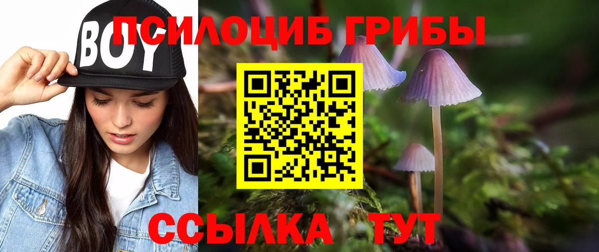 дарнет шоп  Псилоцибиновые грибы мицелий  Галлюциногенные грибы Psilocybine cubensis  Вход с VPN  Междуреченск 
